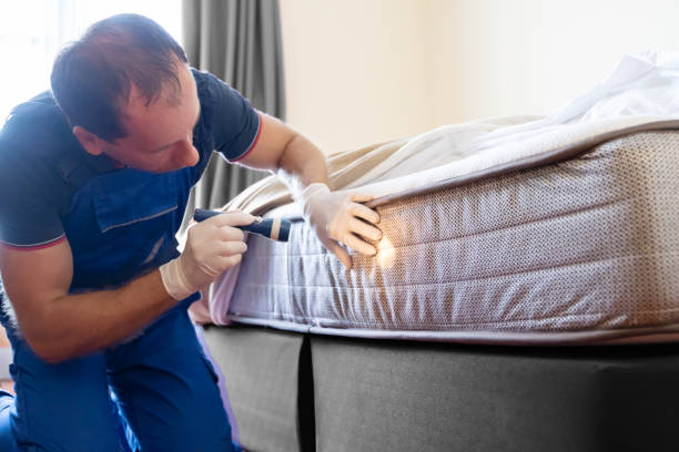 Best Bed Bug Extermination  in Camden, AL